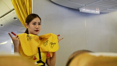 aviones paraca&iacute;das