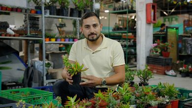 El SENA anuncia una nueva convocatoria para emprendedores del campo colombiano / emprendedores rurales