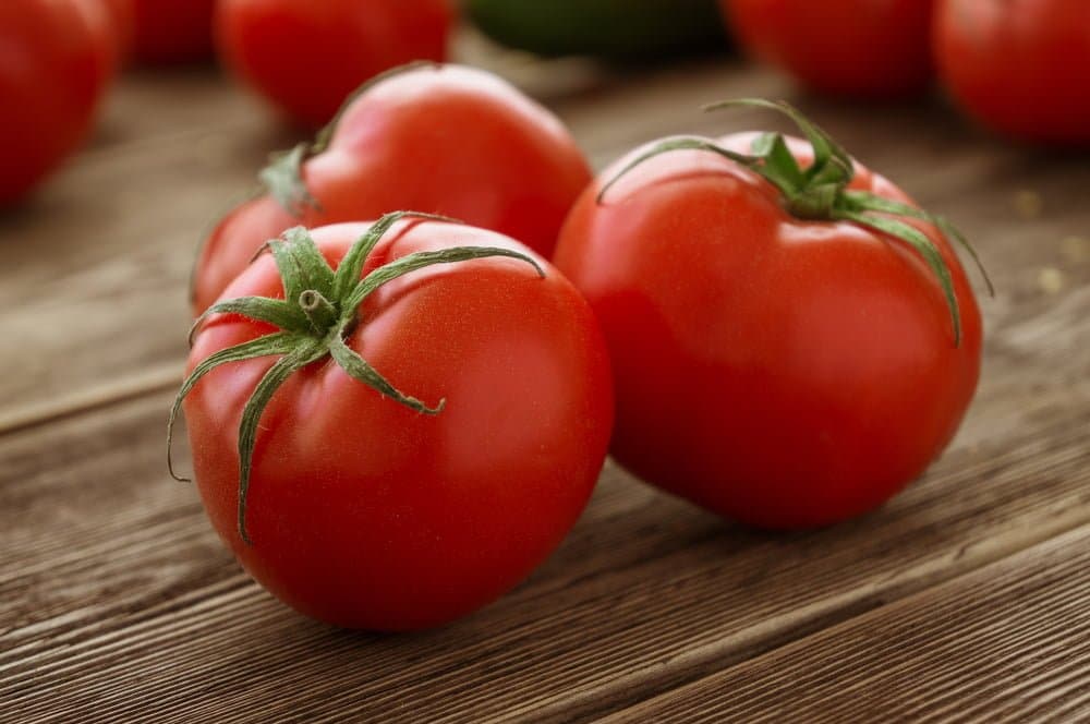 Las frutas que no deben comer los perros - tomates