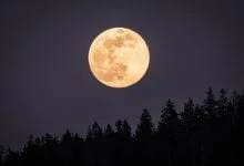 Superluna / luna llena en el cielo