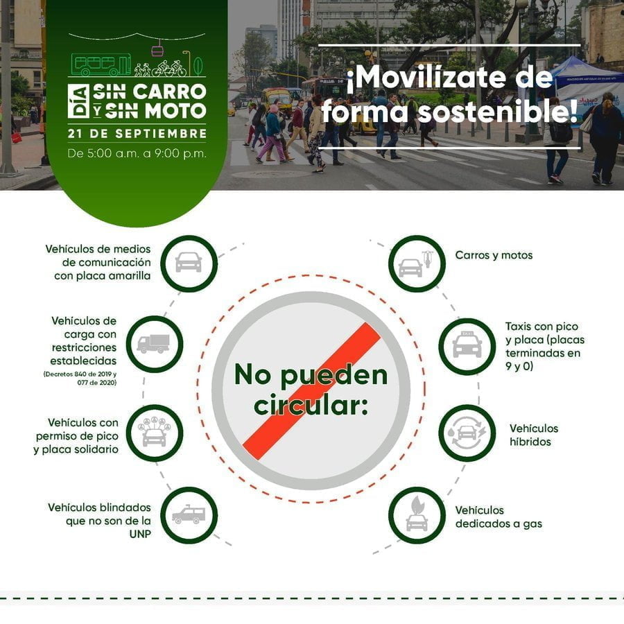 d&iacute;a sin carro