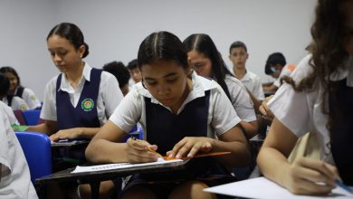 pruebas saber / Pruebas Icfes