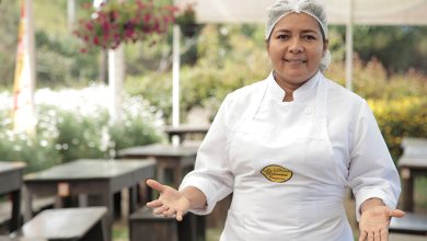 La certificaci&oacute;n fortalece el perfil profesional de los participantes, reconoce y dignifica su importante labor en el desarrollo de la econom&iacute;a del pa&iacute;s / Sena