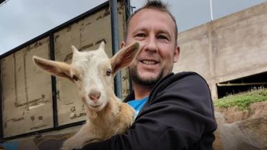 Mikhail Krasnov alcalde tunja