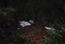 Otro accidente de avioneta se registr&oacute; en el pa&iacute;s: esta vez cay&oacute; en Cundinamarca