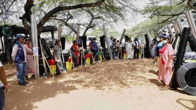 seguridad alimentaria