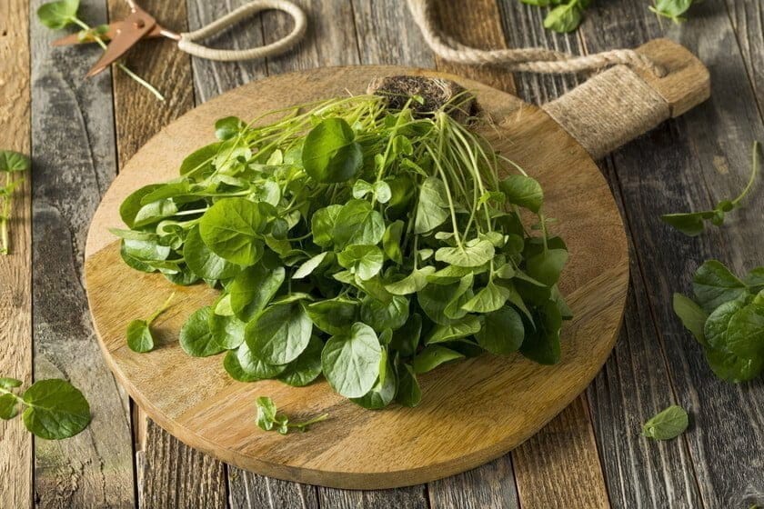 Esta es la verdura m&aacute;s saludable seg&uacute;n estudio: conozca los beneficios