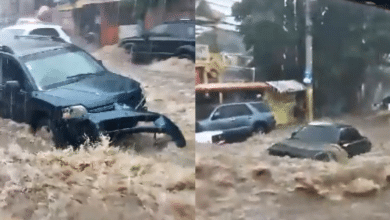 rep&uacute;blica dominicana