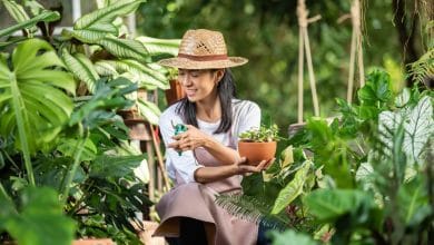 salud mental / h&aacute;bitos / feliz / plantas medicinales