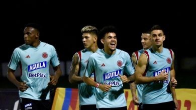 selecci&oacute;n colombia