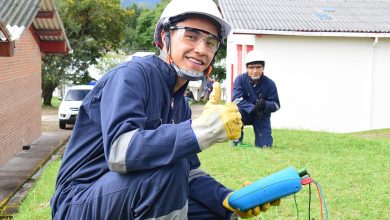 Gesti&oacute;n Administrativa, Desarrollo de Software y Cocina son algunos de los m&aacute;s de 350 programas disponibles / sena