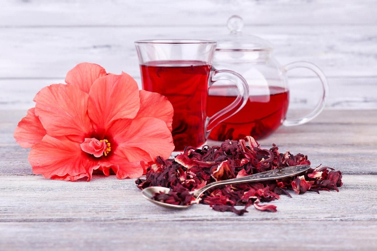 As&iacute; debe preparar el T&eacute; de hibisco produce col&aacute;geno y combate las arrugas del rostro