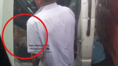 Miembro del Ej&eacute;rcito abus&oacute; sexualmente de una perrita: instituci&oacute;n lo reconoci&oacute;