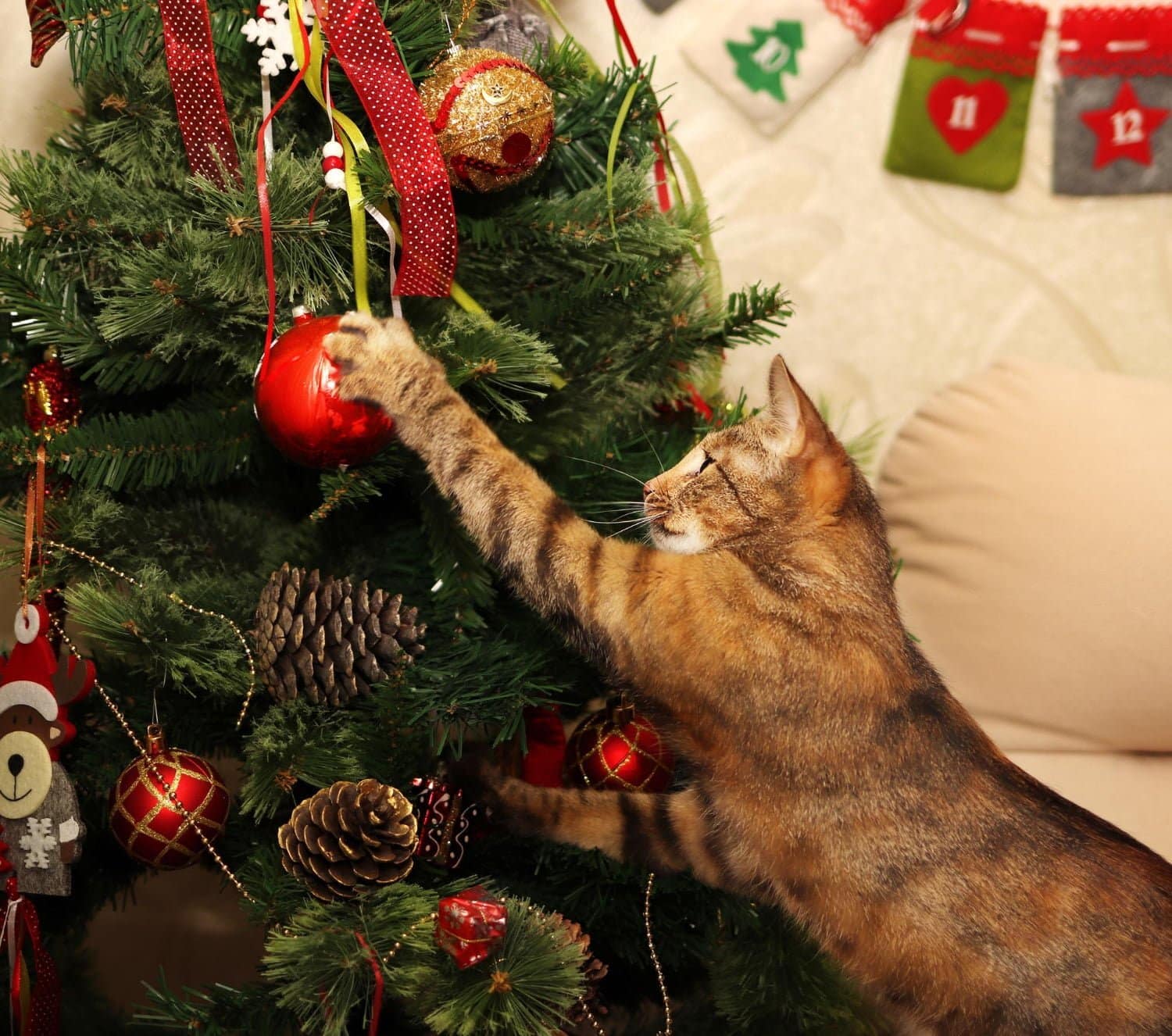 &aacute;rbol de navidad