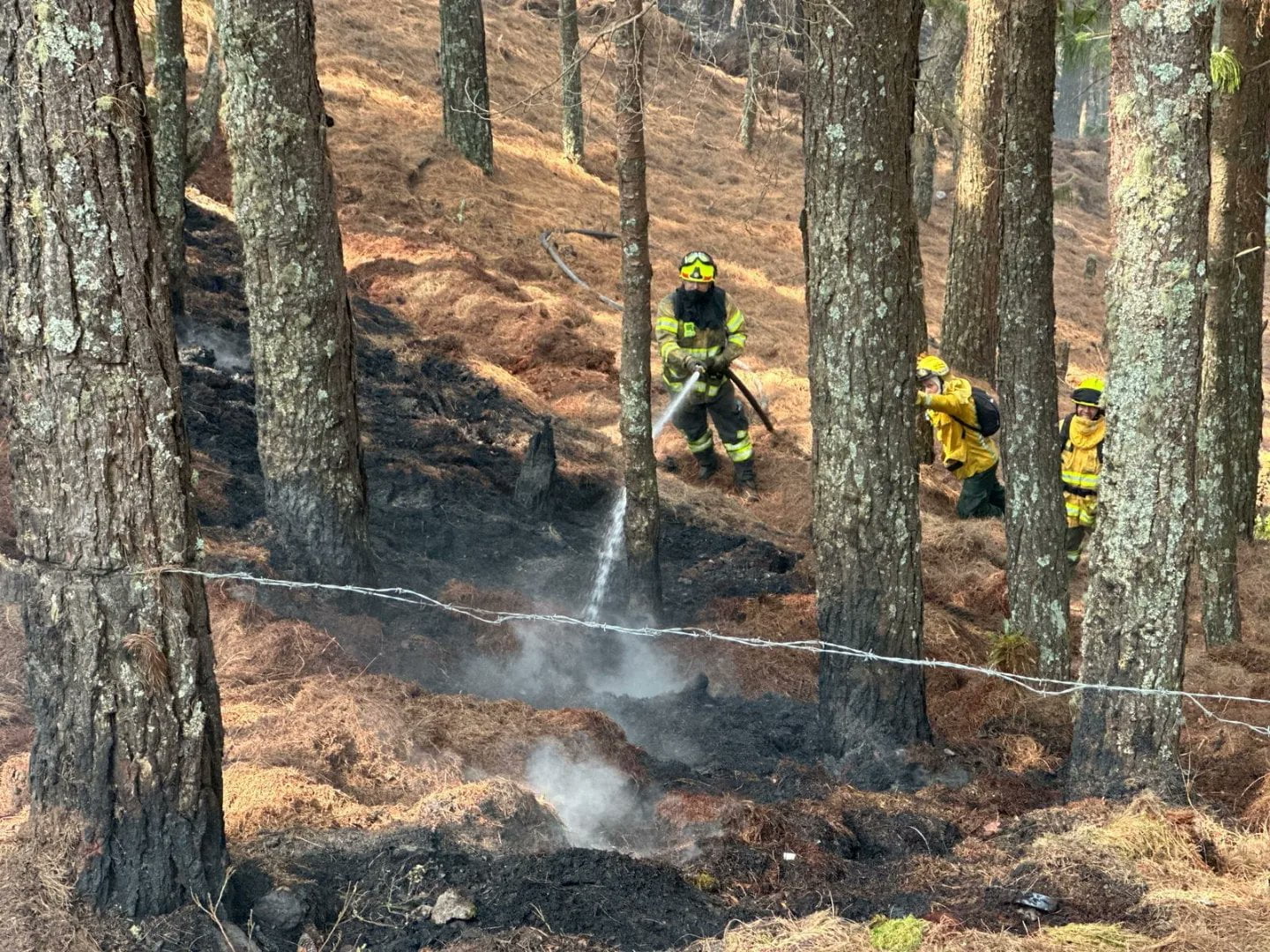 Bomberos saldr&aacute;n a protestar el pr&oacute;ximo 31 de enero, esta es la raz&oacute;n