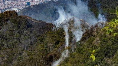 Emergencia en Bogot&aacute;, Incendios forestales amenazan la biodiversidad de la capital