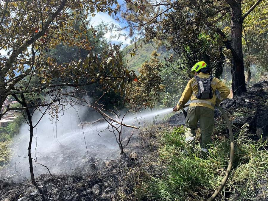 Emergencias en Medellín: Autoridades trabajan para controlar incendios forestales