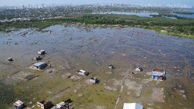 Estas personas volver&aacute;n a recibir beneficio de $500.000; as&iacute; lo pueden reclamar