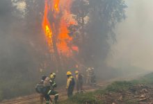 Mapa de la Nasa revela los puntos cr&iacute;ticos de calor por incendios en Colombia / Bogot&aacute; - situaci&oacute;n de Desastre Nacional / fen&oacute;meno de el ni&ntilde;o / fen&oacute;meno de El Ni&ntilde;o