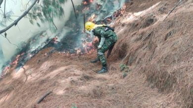 incendio en Cerros Orientales / Bogot&aacute;