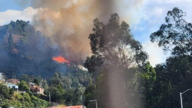 Atención: grave incendio forestal en Sopó amenaza a la comunidad / fenómeno de el niño / Bosa