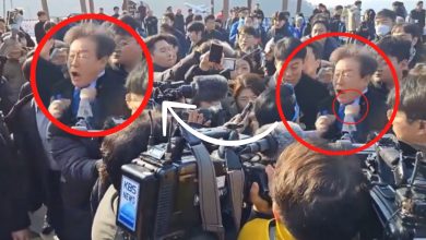 l&iacute;der pol&iacute;tico coreano apu&ntilde;alado en p&uacute;blico