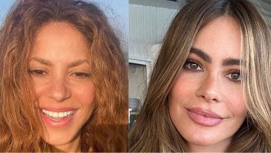 Sof&iacute;a Vergara y shakira