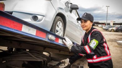 tarifas de patios y gr&uacute;as