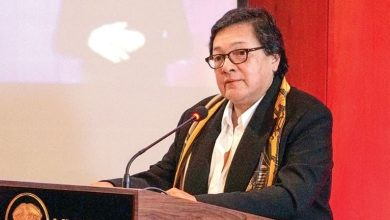 Amelia P&eacute;rez Parra