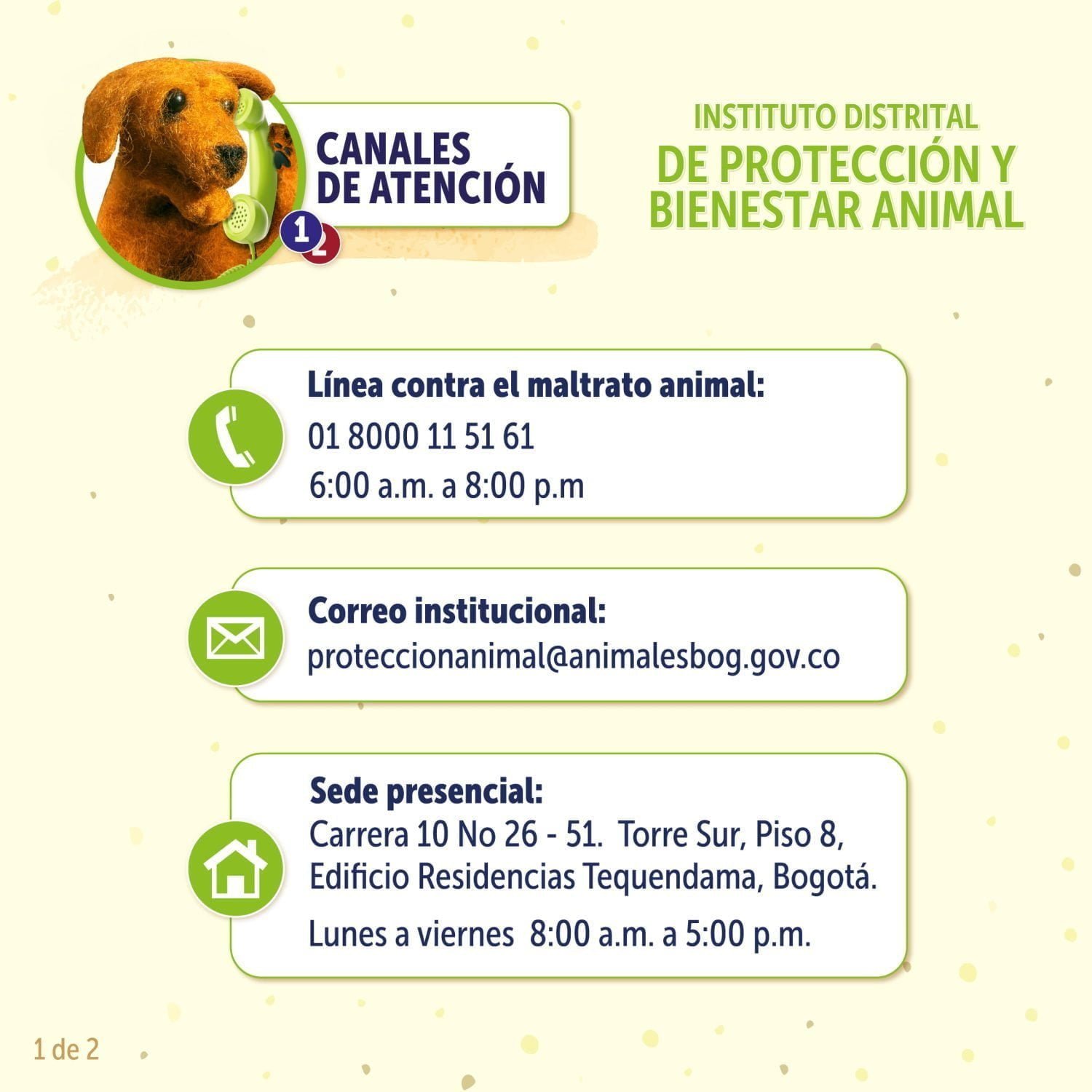 C&oacute;mo denunciar un caso de maltrato animal