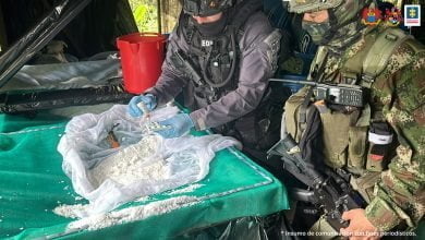 Duro golpe al ELN: Fuerzas Militares destruyeron laboratorio de droga en Nari&ntilde;o