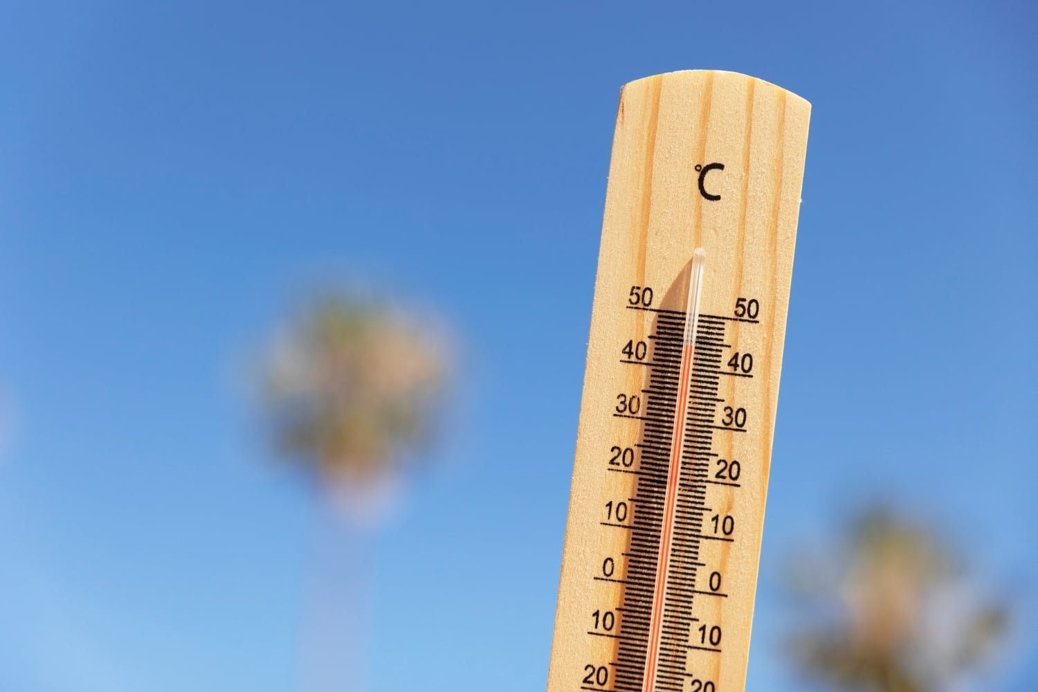 Estos son los 3 lugares más calientes del planeta
