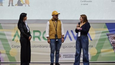 Lanzan programa de incentivos econ&oacute;micos: estos son los&nbsp;beneficiarios