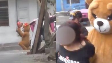 Video viral: Polic&iacute;a disfrazado de oso gigante captur&oacute; a delincuente en San Valent&iacute;n