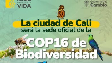 &iquest;Qu&eacute; es la COP16 y por qu&eacute; es de los eventos internacionales m&aacute;s grandes en la historia de Colombia?