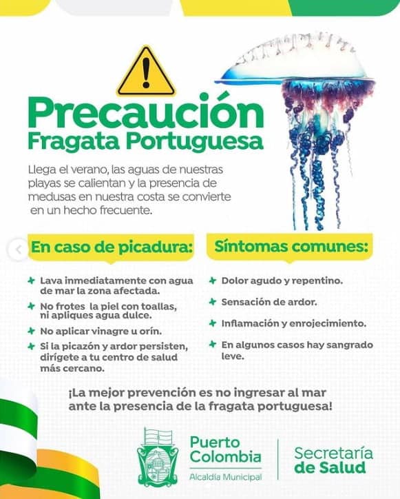 Estas son las playas de Colombia en alerta por presencia de Fragata Portuguesa