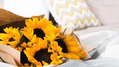 Por qu&eacute; se regalan flores amarillas el 21&nbsp;de&nbsp;marzo / D&iacute;a de la madre