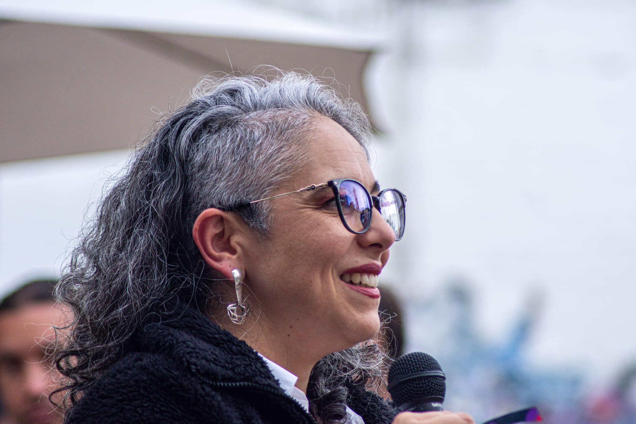 Anulan elecci&oacute;n de Mar&iacute;a Jos&eacute; Pizarro como vicepresidenta del Senado