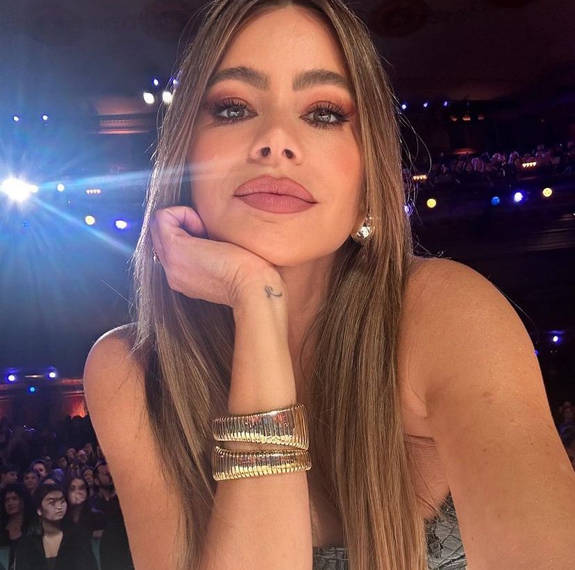 La publicaci&oacute;n de Sof&iacute;a Vergara que aterroriz&oacute; a sus seguidores en redes sociales