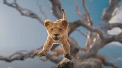 &iexcl;Imperdible! Vea aqu&iacute; el tr&aacute;iler de &lsquo;Mufasa: El Rey Le&oacute;n&rsquo;