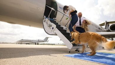 Bark Air: ¿cuándo comienza a operar la aerolínea con vuelos en primera clase para perros?