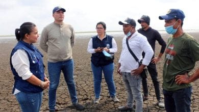 Cientos de familias de Colombia est&aacute;n en riesgo&nbsp;alimentario