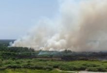 Incendio en Parque Natural de Colombia: autoridades no han podido controlar las llamas (Video)