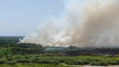 Incendio en Parque Natural de Colombia: autoridades no han podido controlar las llamas (Video)