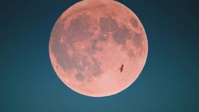 Luna Rosa: hora y c&oacute;mo verla desde Colombia /