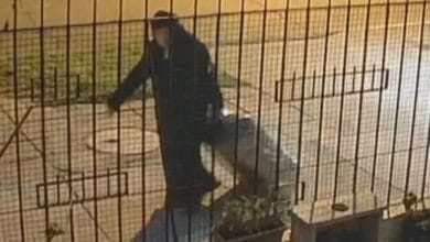 Monja fue grabada arrastrando los restos de su amiga