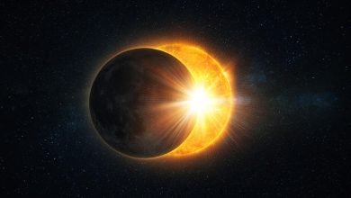 &iquest;Por d&oacute;nde ver en vivo la transmisi&oacute;n del eclipse solar hoy?