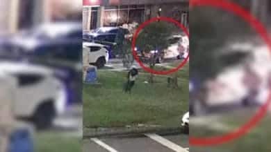 Video: Revelan identidad de famoso influencer v&iacute;ctima de intento de secuestro en Bogot&aacute;