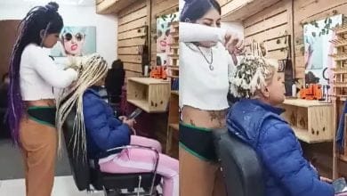 las trenzas