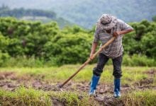 Reforma pensional: campesinos, afros e ind&iacute;genas podr&iacute;an pensionarse de forma anticipada